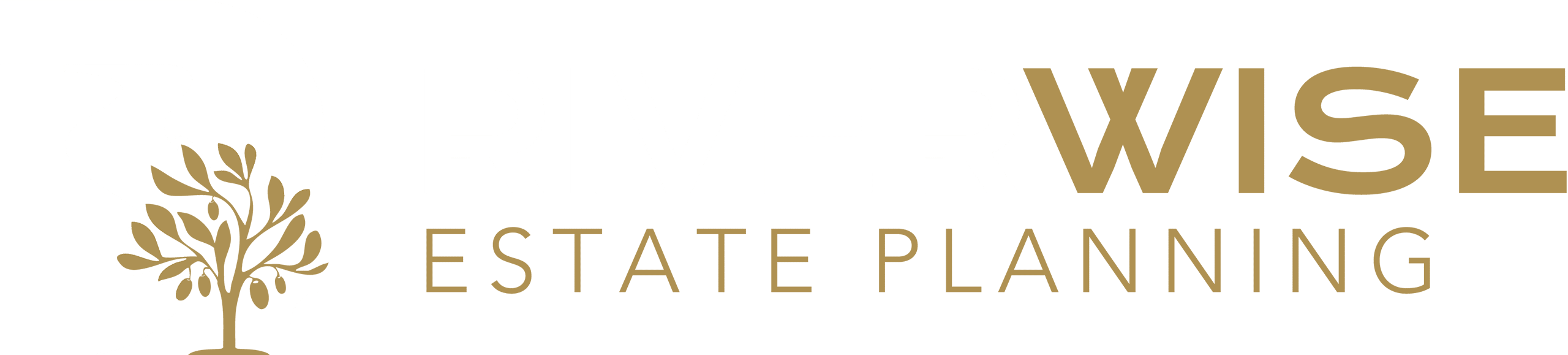 Riverwise Estate Planning